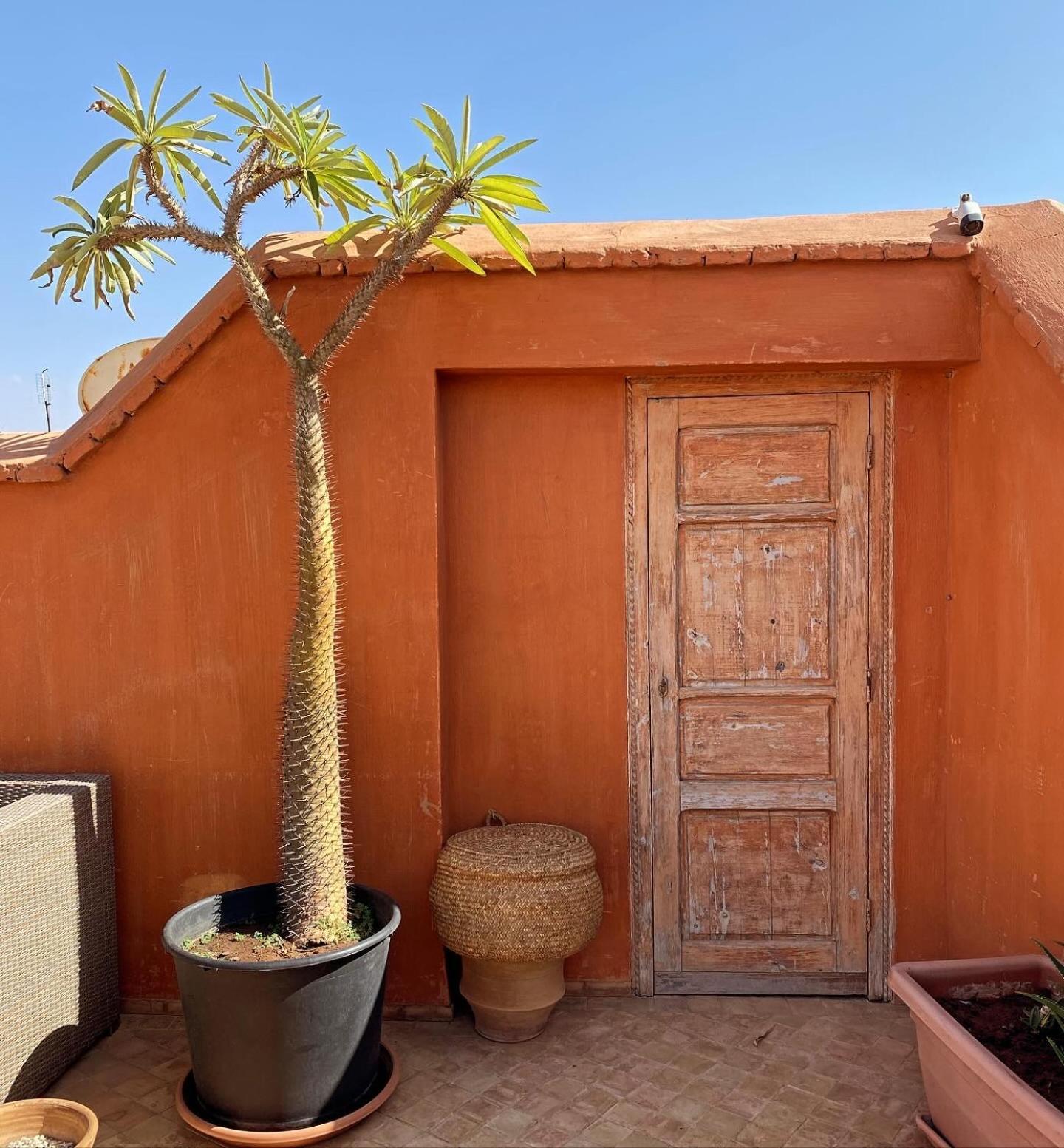 מרקש Riad Rossi מראה חיצוני תמונה